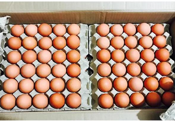 蛋价“反季节”上涨，蛋鸡养殖户为啥兴奋不起来？